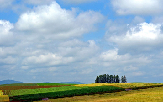 �452803 �������(a): ����������:1440x900